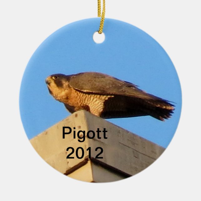 Ornement 2012 de Pigott (Devant)