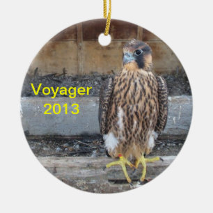 Ornement 2013 de Voyager