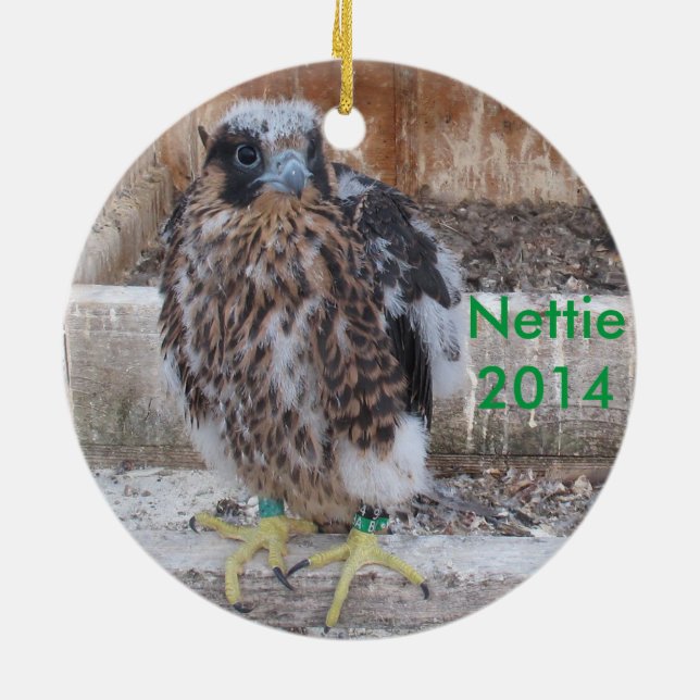 Ornement 2014 de Nettie (Dos)