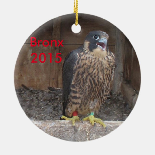Ornement 2015 de Bronx (Dos)