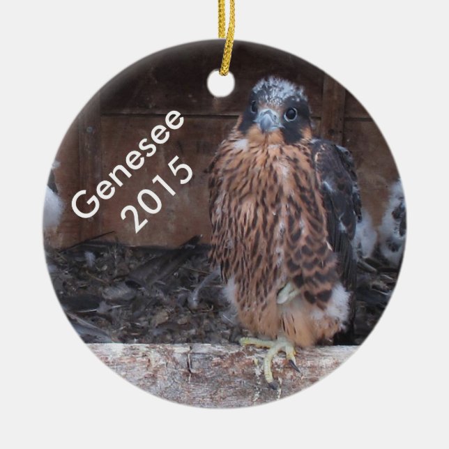 Ornement 2015 de Genesee (Devant)