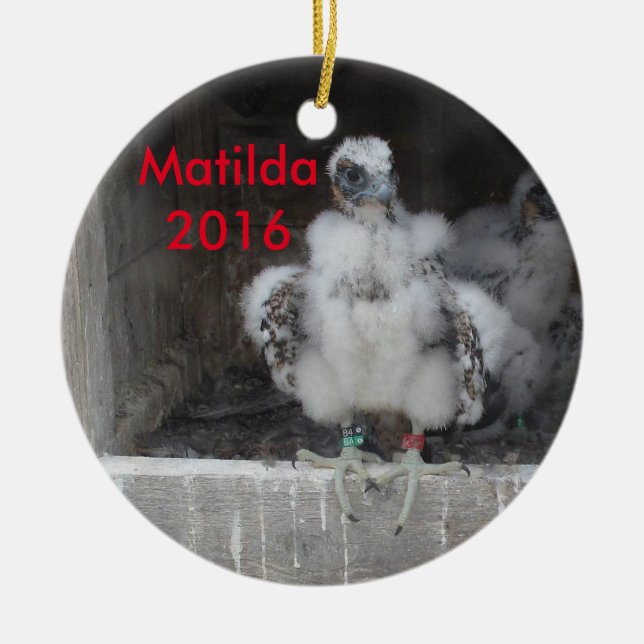 Ornement 2016 de Matilda (Devant)