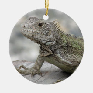 Ornement à cornes d'iguane