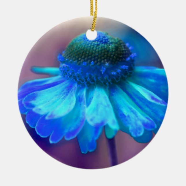 Ornement à fleurs bleu doux de Zinnia (Devant)