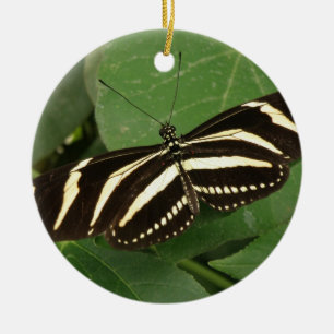 Ornement à papillon à aile longue Zebra