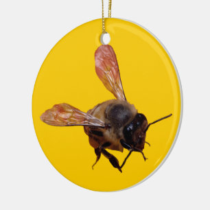 Ornement - Abeille de miel