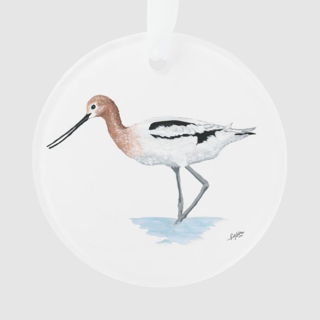 Ornement acrylique Avocet américain (devant)