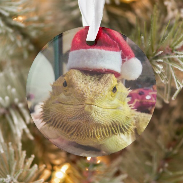 Ornement acrylique Bubbs père Noël (Arbre)