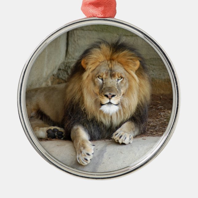 Ornement africain de Noël de lion (Devant)