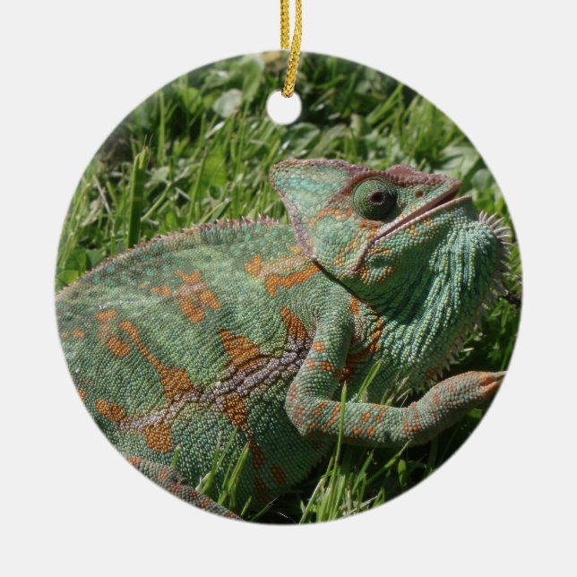 Ornement agressif de caméléon (Devant)