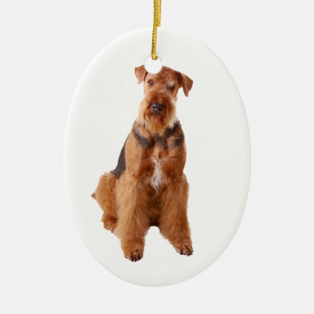 Ornement Airedale Terrier (Devant)