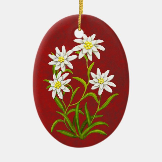 Ornement alpin de fleurs d'edelweiss suisse (Devant)
