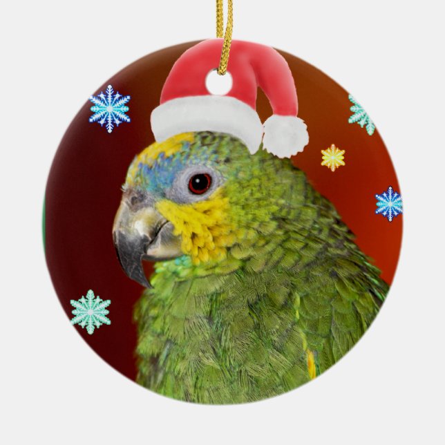 Ornement Amazon Parrot Père Noël (Devant)