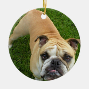 Ornement américain de bouledogue