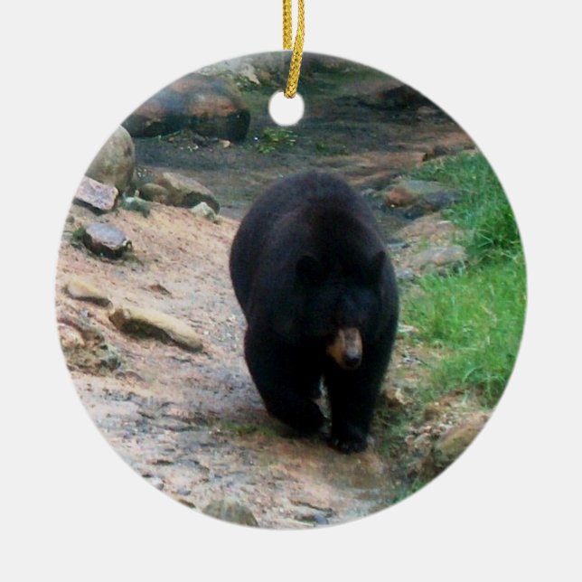 Ornement américain d'ours noir (Devant)