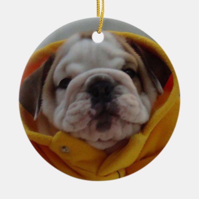 Ornement anglais de chiot de bouledogue (Devant)