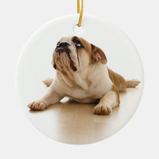 Ornement anglais de Noël de bouledogue (Devant)