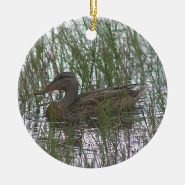 Ornement animal de la faune de canard Brown (Devant)