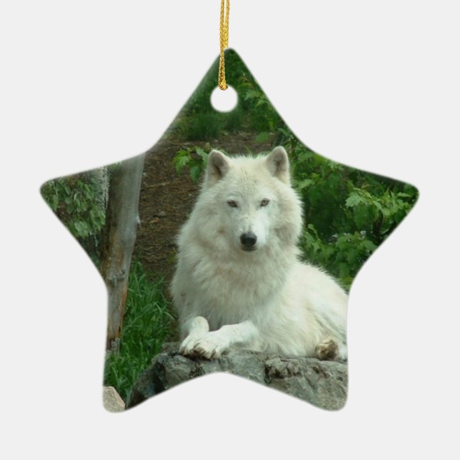 Ornement arctique de loup (Devant)