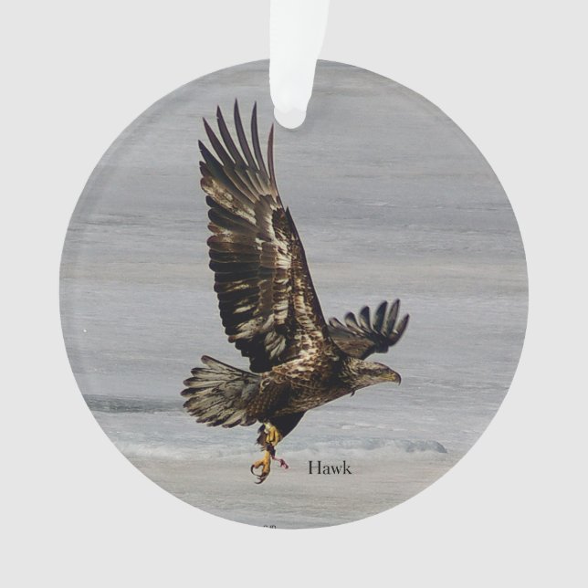 Ornement arcyllique de Hawk (devant)