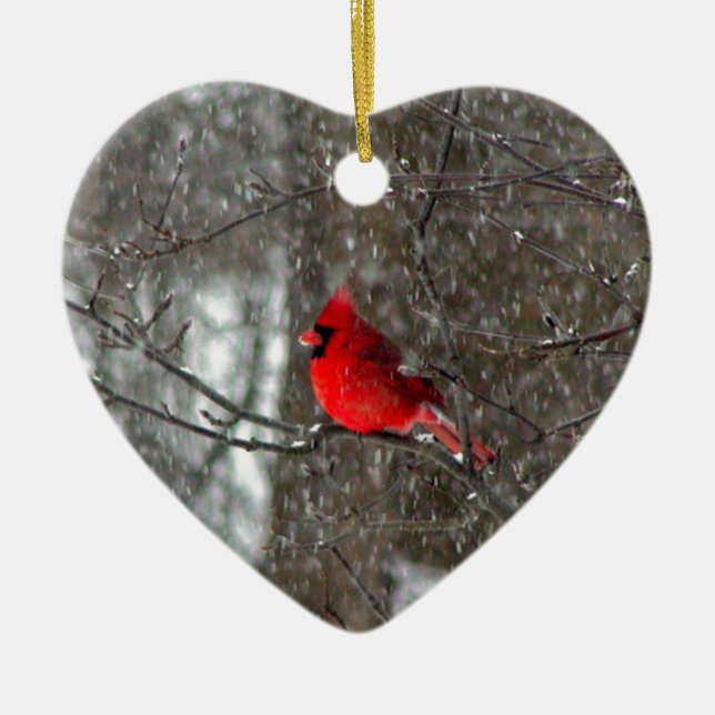 ornement avec la photo du cardinal masculin (Devant)