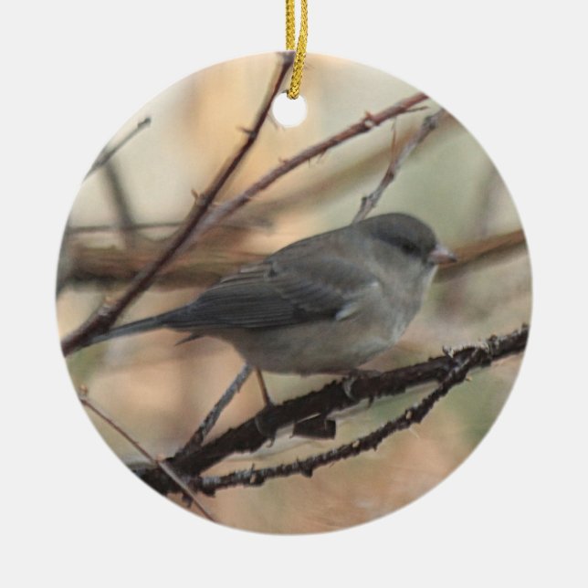 Ornement avec le Junco (Devant)