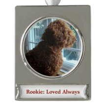 Animaux/Personne (Personnaliser)