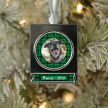 Photo Chien vert et noir plaqué Noël