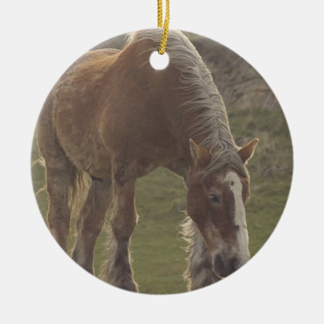 Ornement belge de cheval de trait (Devant)