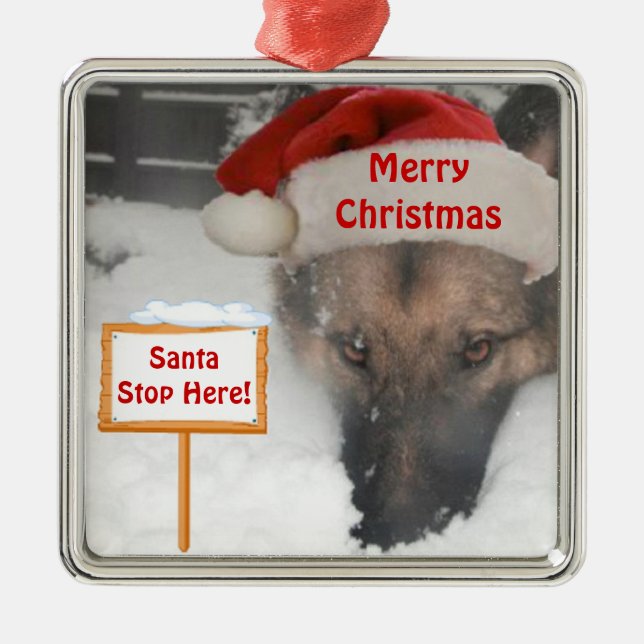 Ornement Berger Allemand Père Noël Stop Here Sign (Devant)