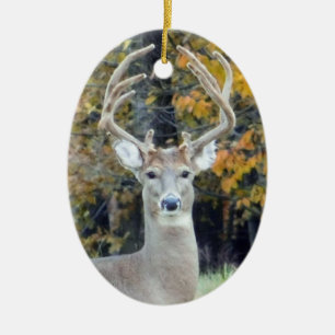 Ornement Big Buck Antlers