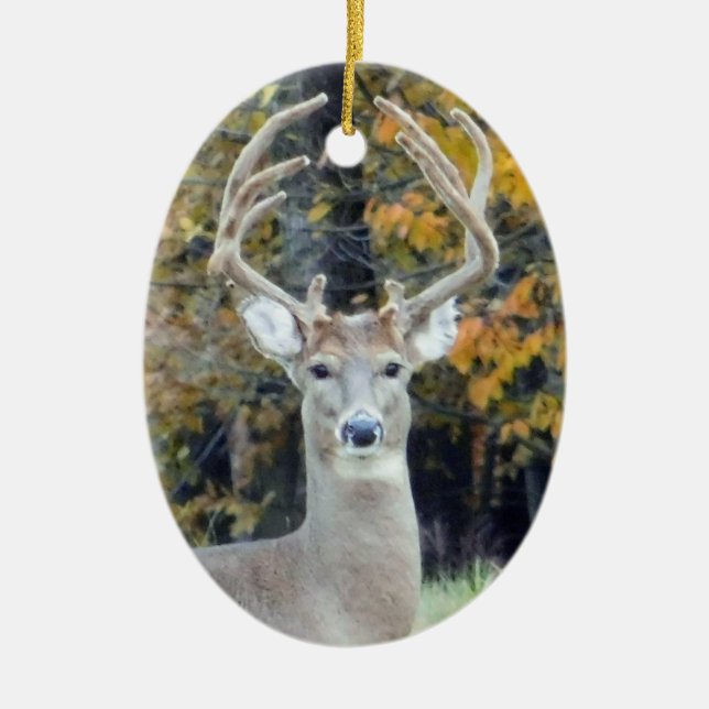Ornement Big Buck Antlers (Devant)