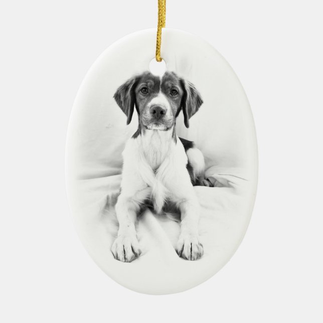 Ornement bilatéral de la Bretagne (Devant)