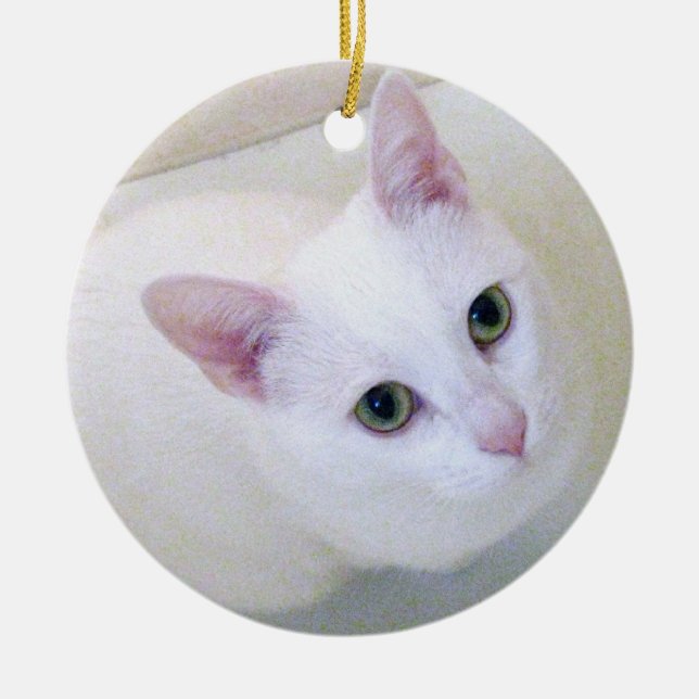 Ornement blanc de chat (Devant)