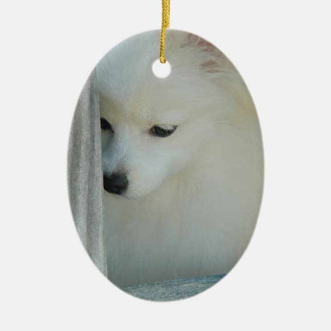 Ornement blanc de Pomeranian (Devant)