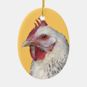 Ornement blanc de poule