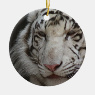Ornement blanc de tigre