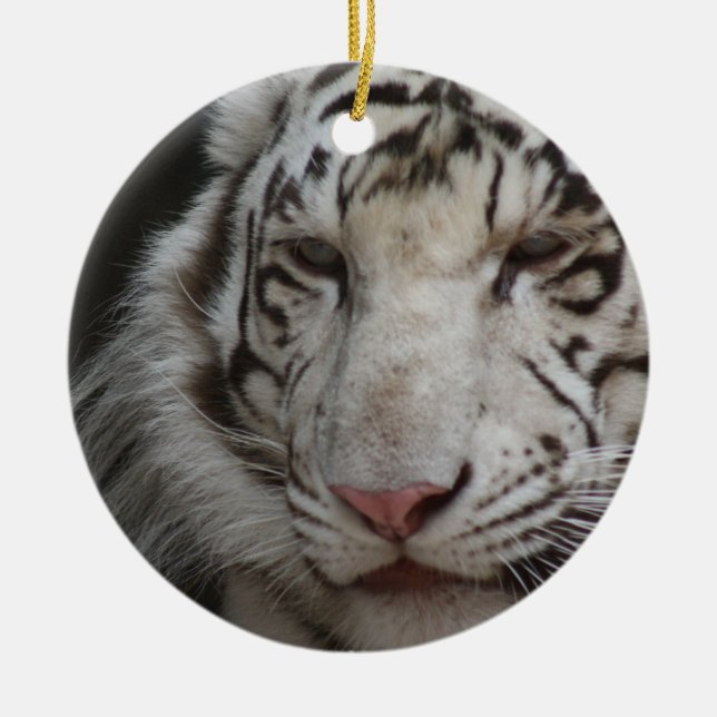 Ornement blanc de tigre (Devant)