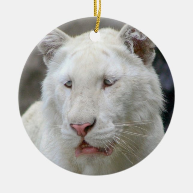 Ornement blanc rare de tigre (Devant)