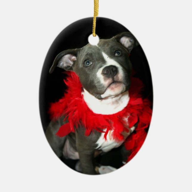 Ornement bleu de chiot de pitbull (Devant)
