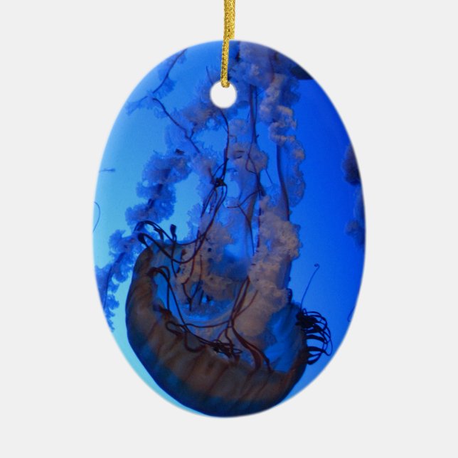 Ornement bleu de Noël de méduses (Devant)