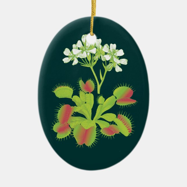Ornement botanique d'art d'attrape-mouche de Vénus (Devant)