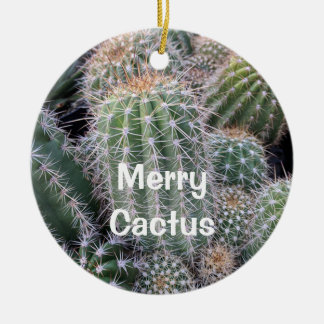 Ornement Cactus