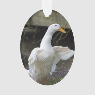 Ornement Canard Blanc