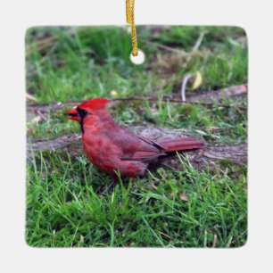 Ornement cardinal