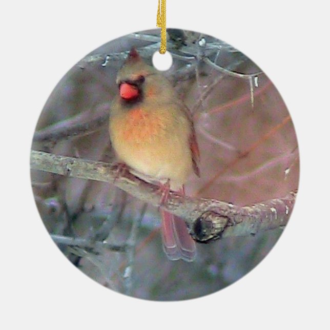 Ornement cardinal femelle de Noël (Dos)