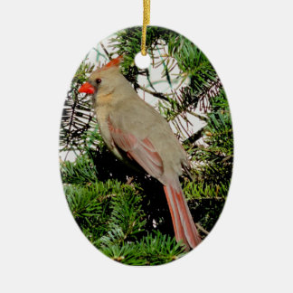 Ornement cardinal femelle de Noël