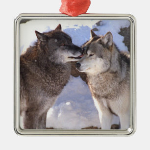 Ornement carré "alpha baiser " de prime
