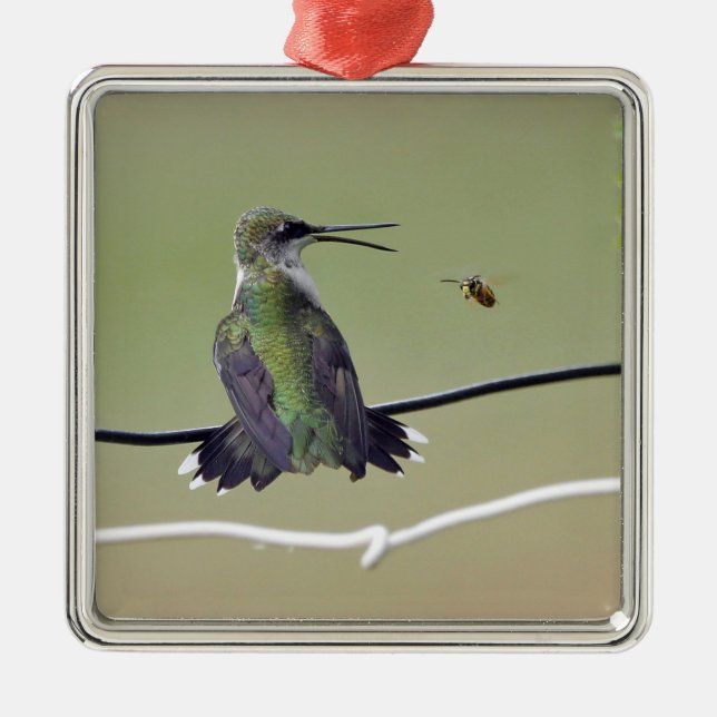 Ornement Carré Argenté Abeille de colibri et de miel (Devant)