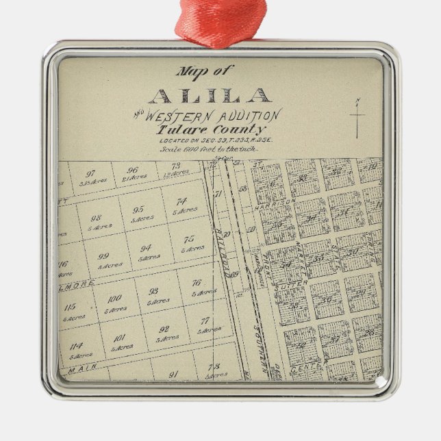 Ornement Carré Argenté Alila (Devant)